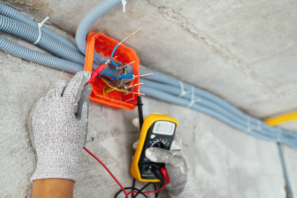 Best Electric Panel Repair  in Weaverville, NC